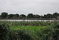 Woodberry Wetlands East Reservoir