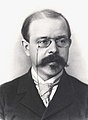Walther Nernst, Physikochemiker