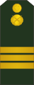 Sergent (Moldovan Ground Forces)[65]