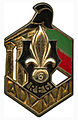 Insignia Type 1 of the 6th Foreign Engineer Regiment