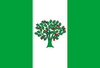 Flag of A Cañiza