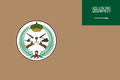 Flag of the Royal Saudi Land Forces. (Ratio: 2:3)