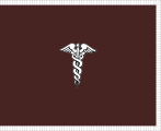 Flag of the United States Army Surgeon General