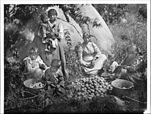 Yokuts women and children preparing peaches on the Tule River Reservation ~1900AD