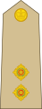 Lieutenant (Jamaican Army)[44]