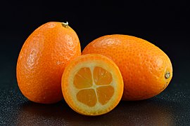 Kumquat from Spain