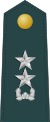 Junior general