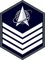 U.S. Space Force technical sergeant insignia