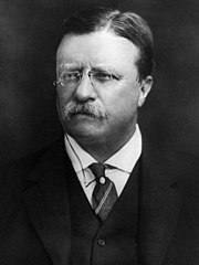 Former President Theodore Roosevelt of New York