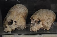 Elongated skulls from Afrasiab, Samarkand, Sogdia, 600–800 CE