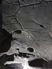 Ceiling of Belum Caves