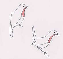 sketches of two red-throated birds, one upright, one with tail cocked