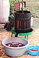 Old style press in Romania for home-made wine