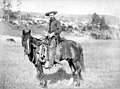 American cowboy, c. 1888