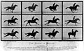 Image 12Eadweard Muybridge's The Horse in Motion cabinet cards utilized the technique of chronophotography to study motion. (from History of film)