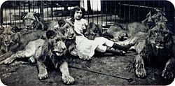 Black and white photograph of a diminutive woman wearing a light-colored dress and dark stockings surrounded by a pride of seven lions.