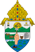 Diocese of Alaminos