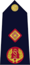 Rank insignia of Garda Deputy Commissioner