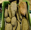 Yacónknollen und (eine) Süßkartoffel