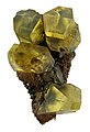 Schwefelkristalle mit verschiedenen Kristallflächen auf Muttergestein