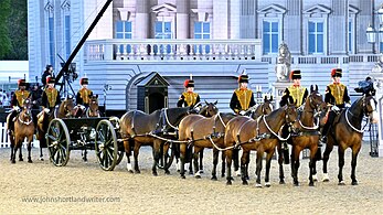 Bays of the King's Troop Royal Horse Artillery