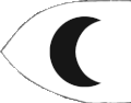 The flag of the city of tunis in 14th century. White with black crescent [1][2]