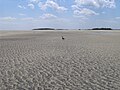 The south tip of Tybee Island at low tide