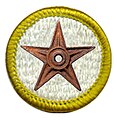 I, Wim van Dorst, give you this Scouting barnstar for your excellent input to get Baden-Powell House to Featured Article. 22 July 2006