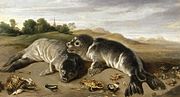 Paul de Vos, Two young seals on the shore, c. 1650, oil on canvas, 80 × 164 cm.