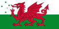 Welsh Australian flag[37]