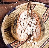The fruit of the African Baobab tree