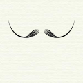 "Dalí" moustache style