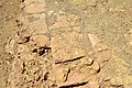 Original tiles at the upper surface of the ziggurat and temple of Nabu at Borsippa, Iraq