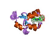 1j0q: Solution Structure of Oxidized Bovine Microsomal Cytochrome b5 mutant V61H