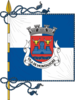 Flag of Montalegre