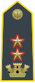 Lieutenant-Colonel, commanding officer