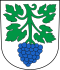 Coat of arms of St. Margrethen