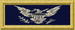 An insignia with a navy blue background and a silver eagle