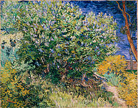 Fliederstrauch von Vincent van Gogh (1889)