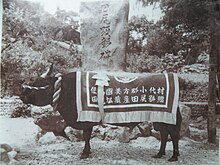 "Tajiri-go," a famous bull of the Japanese black