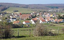 A general view of Saulnot