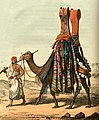 Camel Conveying a Bride to Her Husband (1821)