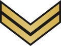 Petty officer (Irish: Mion-oifigeach) (Irish Naval Service)[11]