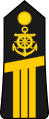 Lieutenant de vaisseau (Navy of Ivory Coast)[18]