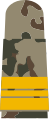 Aufschiebeschlaufen mit goldgelben Em­blemen auf 3-Far­ben-Flecktarn für Marineuniform­träger (hier: Kapitänleut­nant)