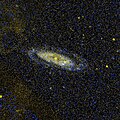 In der Ultraviolett-Aufnahme des GALEX-Weltraumteleskops von NGC 4100 erscheinen ältere Sterne gelb, jüngere blau.