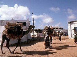 Nomaden mit Kamelen in Gabiley