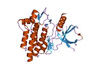 1xba: Crystal structure of apo syk tyrosine kinase domain