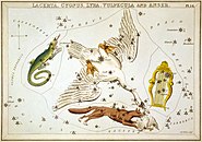 Plate 14: Lacerta, Cygnus, Lyra, and Vulpecula and Anser