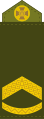 Штаб-сержант (Staff Sergeant)